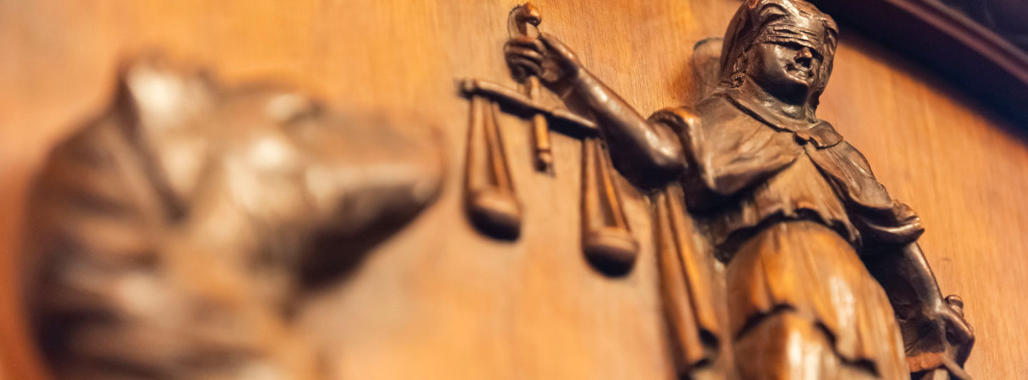 Protecting the Rule of Law